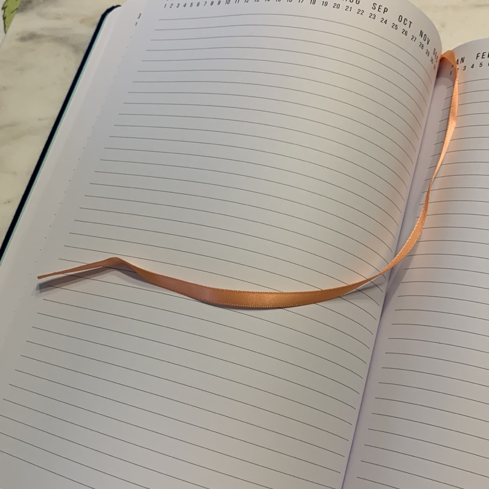 DesignsWorks Ink Blue Undated Lined Journal - Picture 7 of 11